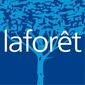 LAFOR&Ecirc;T IMMOBILIER B ET D IMMOBILIER